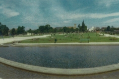 cl29