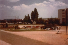 cl33