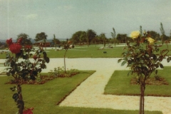 cl44