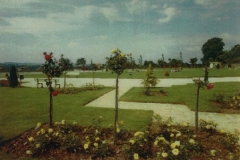 cl45